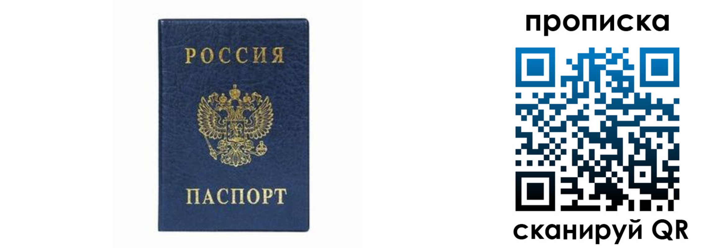 временная регистрация поиск в Судогде